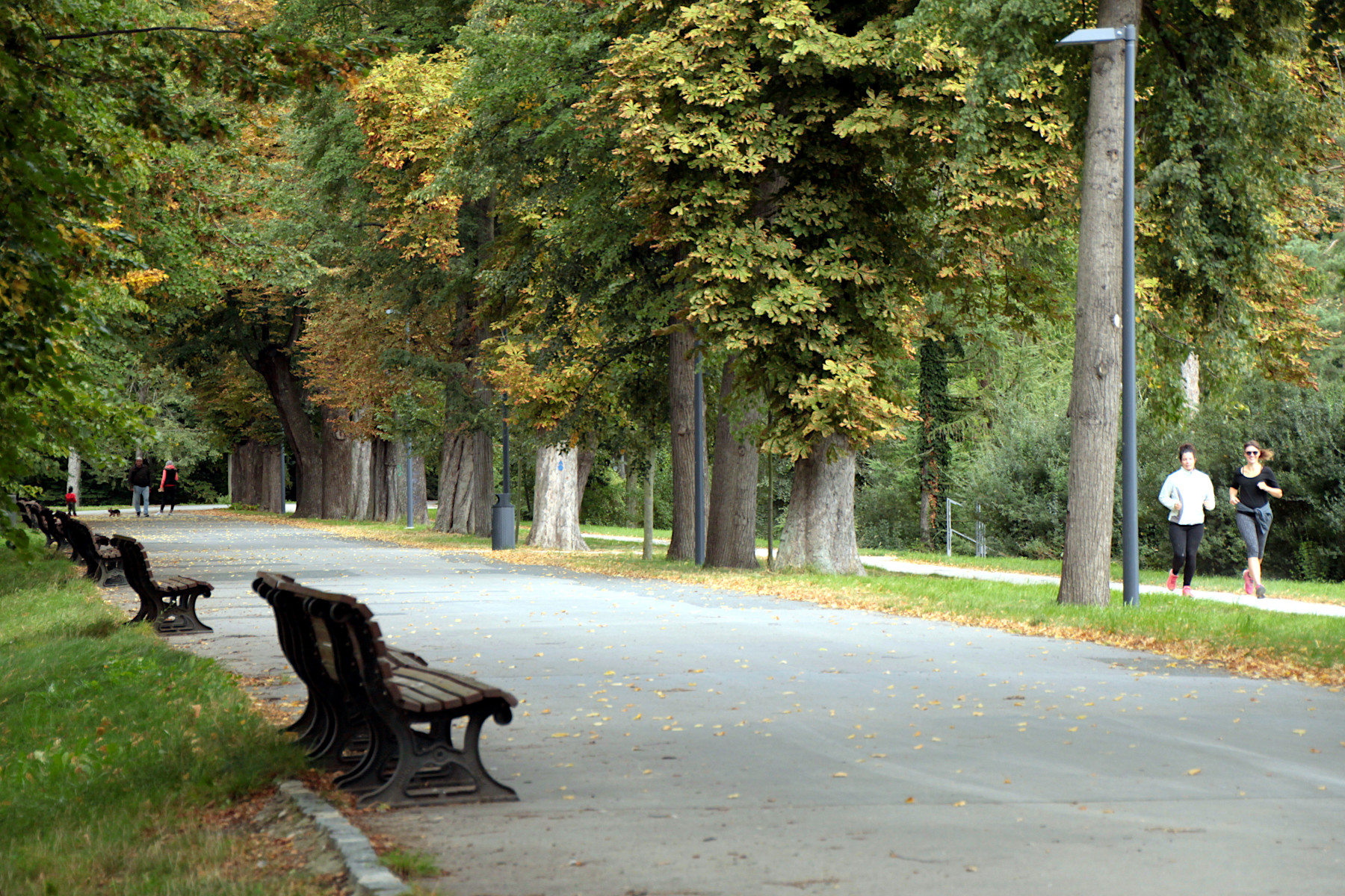 PP KRLOVSK OBORA - STROMOVKA