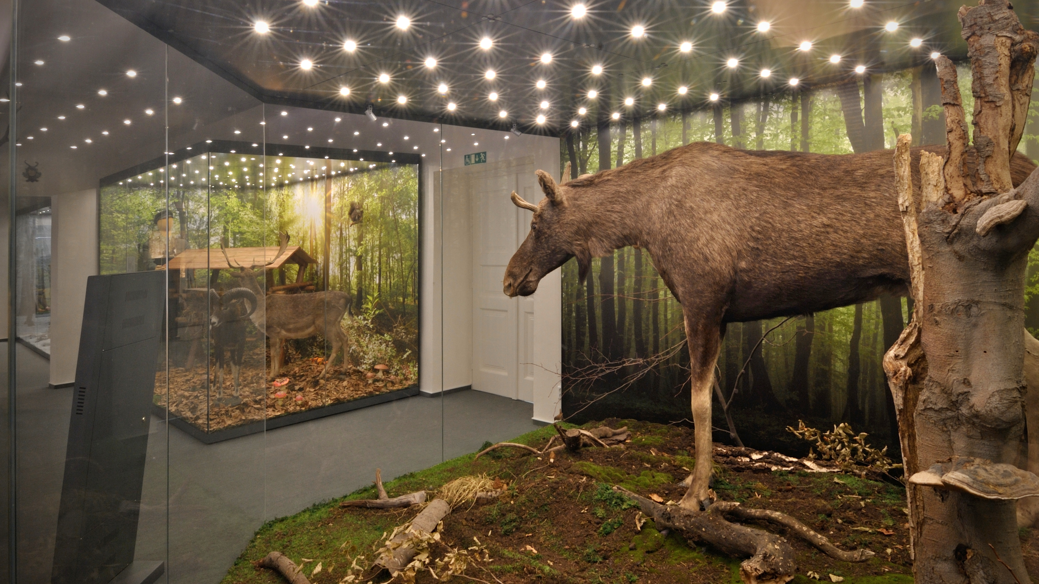 MUZEUM BESKYD FR�DEK-M�STEK