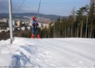 SKI AREL PADK PBRAM 
(klikni pro zvten)