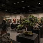 BONsai: KATACHI 形